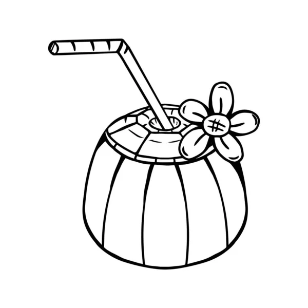Isolated Coconut Draw Summer Holidays Vector Illustration — Vettoriale Stock