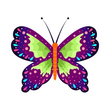 İzole edilmiş mor kelebek böcekleri renk vektör çizimi