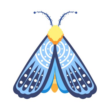 İzole edilmiş mavi güve böcekleri renk vektör çizimi