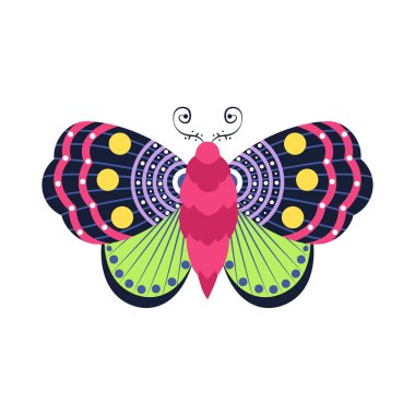 Ayrı renkler kelebek böcekleri renk vektör çizimi