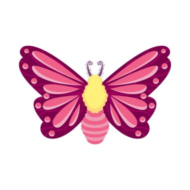 İzole edilmiş pembe kelebek böcekleri renk vektör çizimi