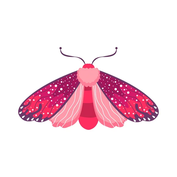 Ilustración Aislada Insectos Polilla Rosa Vector Color — Vector de stock