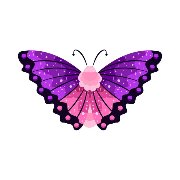 Isolated Purple Butterfly Insects Color Vector Illustration — Stock Vector