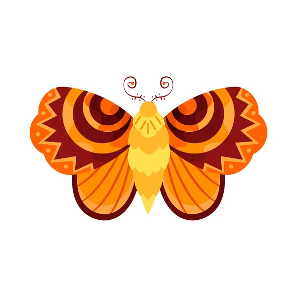 Isolierte Orange Schmetterling Insekten Farbvektor Illustration — Stockvektor