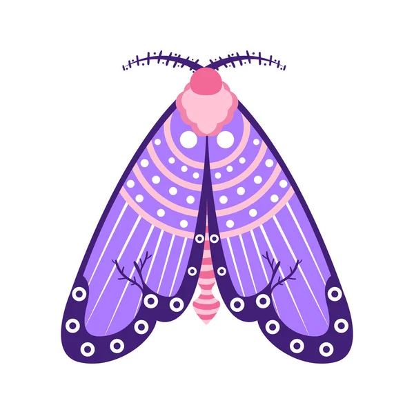 Isolated Purple Moth Insects Color Vector Illustration — Stock Vector