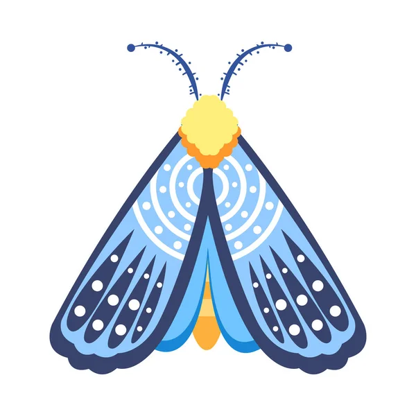 Isolierte Blaue Motteninsekten Farbvektor Illustration — Stockvektor