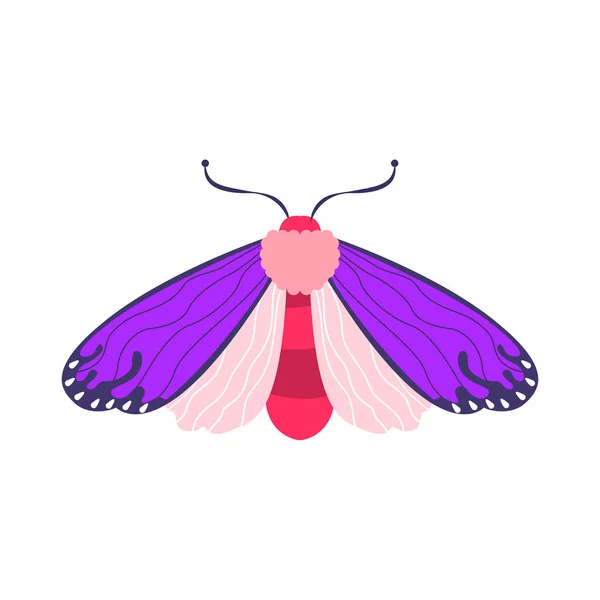 Ilustración Aislada Del Vector Color Insectos Mariposa Púrpura — Archivo Imágenes Vectoriales