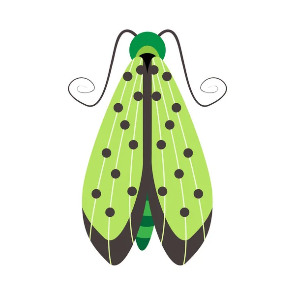 Isolierte Grüne Motteninsekten Farbvektor Illustration — Stockvektor