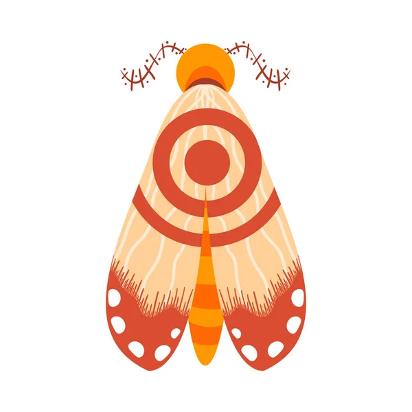 Ilustración Aislada Del Vector Color Insectos Polilla Marrón — Vector de stock