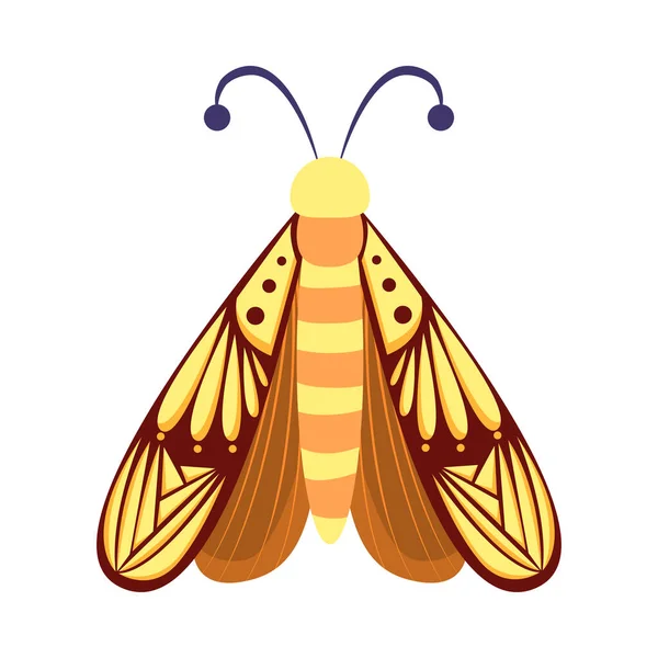 Isolated Brown Moth Insects Color Vector Illustration — Stock Vector