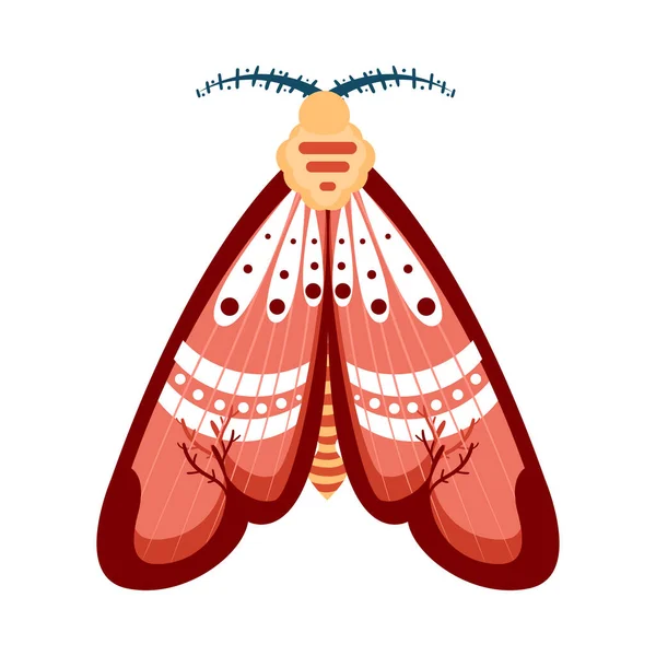 赤い蛾の昆虫のカラーベクトルのイラスト — ストックベクタ