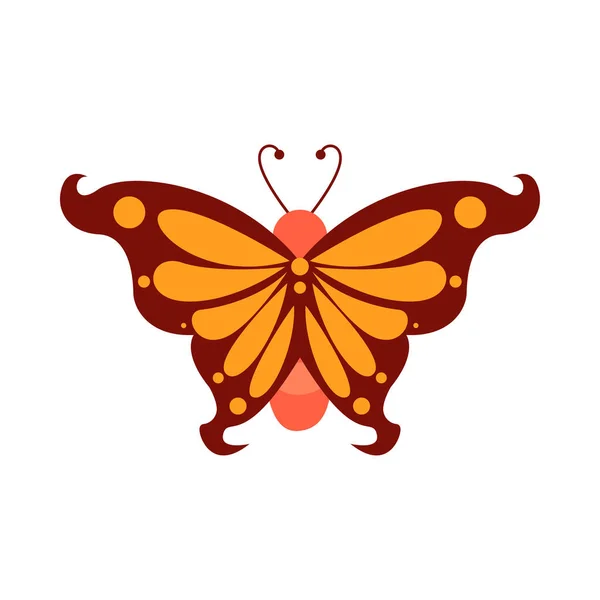 Isolated Orange Butterfly Insects Color Vector Illustration — Stock Vector