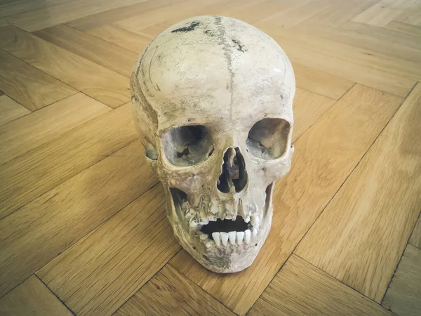 Calavera Humana Aislada Sobre Fondo Madera —  Fotos de Stock