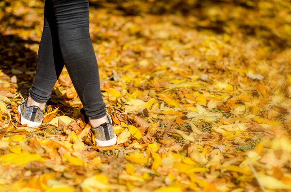 Ноги девушки плотно стоят на жёлтых опавших листьях в парке. Золотой осенний день. Вид сзади. Девушка идет по осенней аллее. 