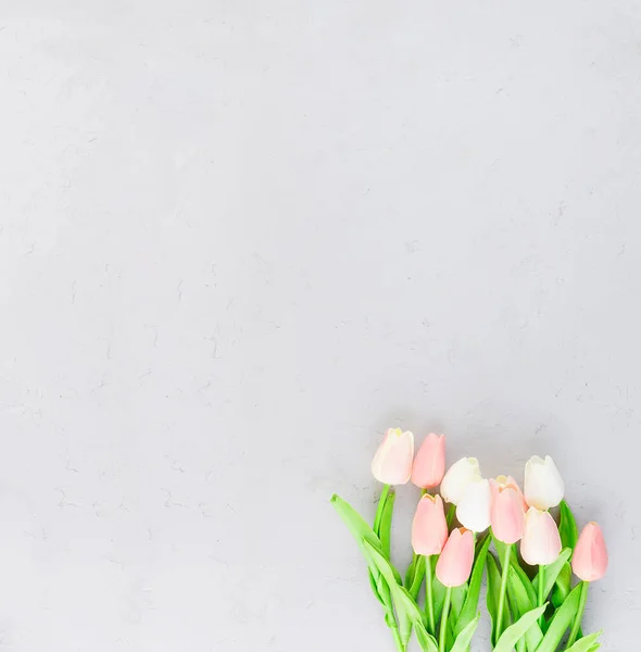 Top View Beautiful Pastel Tulips Bouquet Grey Concrete Background Spring — стоковое фото
