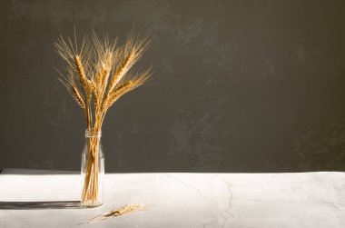 Güneşin altındaki bir şişede buğday buketi, sert gölgeler. Doğal ev dekorasyonu, kopyalama alanı, modelleme