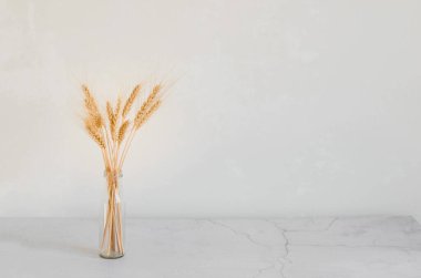 Masadaki şişedeki buğday buketi çivileri, sert gölgeler. Doğal ev dekorasyonu, kopyalama alanı, modelleme