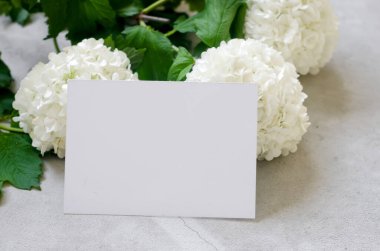Boş çerçeve yazı için uygun bir yer ve masadaki vazoda bir buket beyaz çiçek viburnum buldenezh. Doğal ev dekorasyonu, kopyalama alanı, modelleme