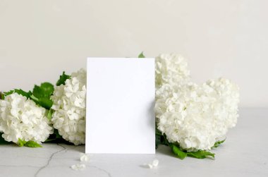 Boş çerçeve yazı için uygun bir yer ve masadaki vazoda bir buket beyaz çiçek viburnum buldenezh. Doğal ev dekorasyonu, kopyalama alanı, modelleme