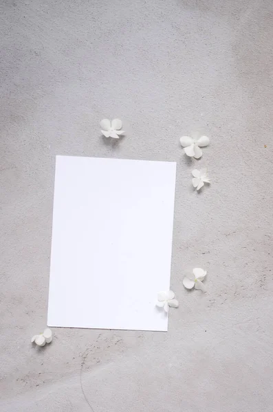 Cartão Papel Vazio Sagacidade Lugar Para Texto Flores Brancas Viburnum — Fotografia de Stock