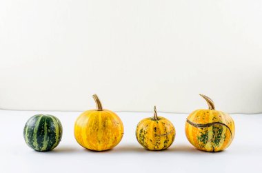 Güzel turuncu ve yeşil balkabağı. Renkli sonbahar arkaplanı. Uzayı metin için kopyala. Sonbahar, sonbahar veya Şükran Günü konsepti.