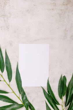 Blank white business cards mockups with grassy foliage on textured background. Elegant modern template for branding identity. Minimal nature background for summer concept. Flat lay, top view.