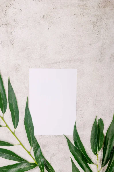Blank White Business Cards Mockups Grassy Foliage Textured Background Elegant — Fotografia de Stock