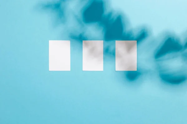 Blank White Business Cards Mockups Shadow Leaves Blue Background Elegant — Stockfoto