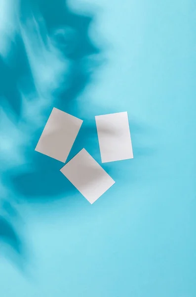 Blank White Business Cards Mockups Shadow Leaves Blue Background Elegant — Stok fotoğraf
