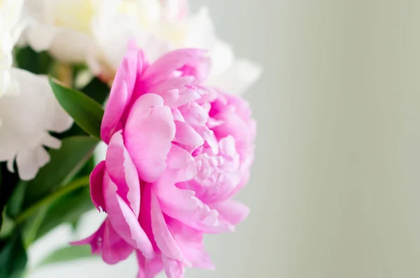 Bunch Fresh White Peonies Beautiful Fresh Cut Bouquet Minimalist Floral — Stock Photo, Image