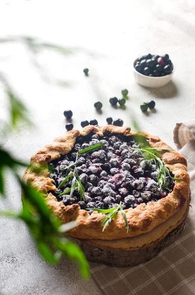 Homemade Blackcurrant Galette Old Concrete Background Open Pie Top View — Stock Fotó