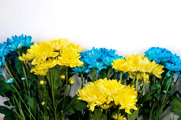 Прекрасний Букет Хризантеми Жовтими Світло Синіми Квітами Молись Україну — стокове фото