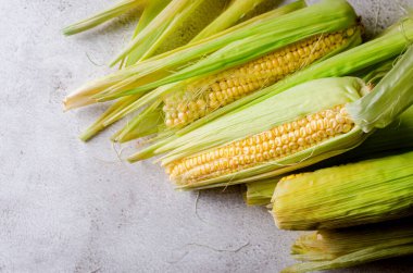 Fresh young sweet corn on cobs on grey table close up, harvest concept 