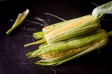 Fresh young sweet corn on cobs on rustic dark table close up, harvest concept 