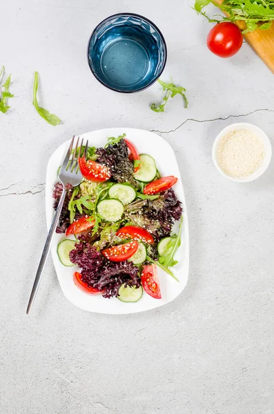 Healthy Vegetable Salad Fresh Salad Leaves Arugula Cherry Tomato Cucomber — 图库照片