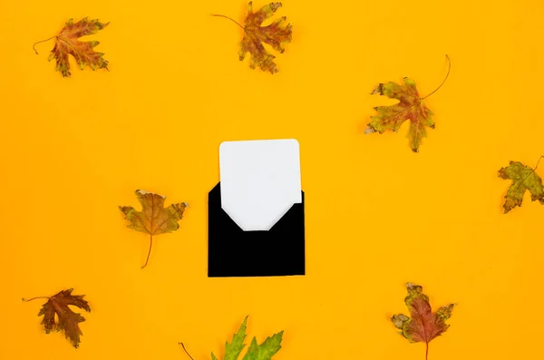black envelope with a white card on a yellow background with autumn  bright leaves. autumn concept,