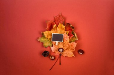 Bir buket parlak akçaağaç yaprağı ve yazı için kara tahta. Selamlama ya da davetiye boş kart, sonbahar satış kavramı