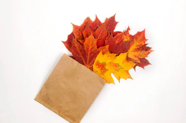 Πολλά Φωτεινά Πεσμένα Φύλλα Σφενδάμου Χάρτινη Σακούλα Φθινοπωρινή Πώληση Και — Φωτογραφία Αρχείου
