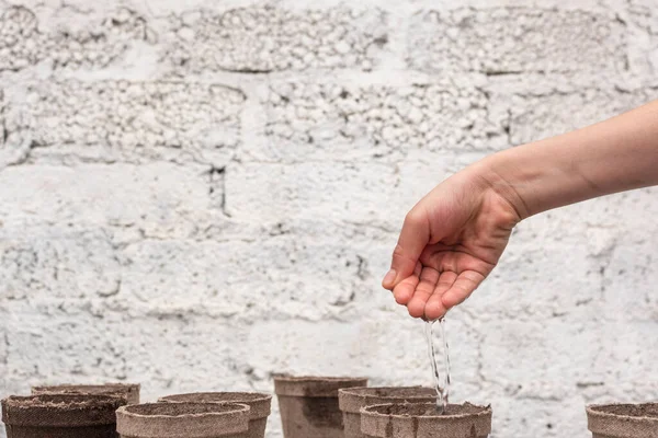 Mano Niña Vertiendo Agua Para Regar Plántulas Orgánicas — Foto de Stock