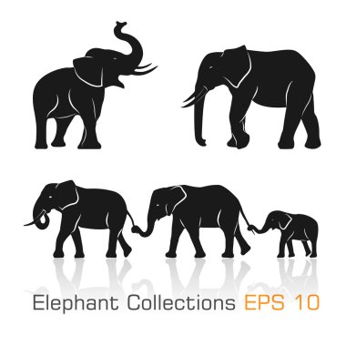 Set of black & white elephants in different poses