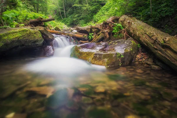 Mountain water stream — Stock Photo, Image