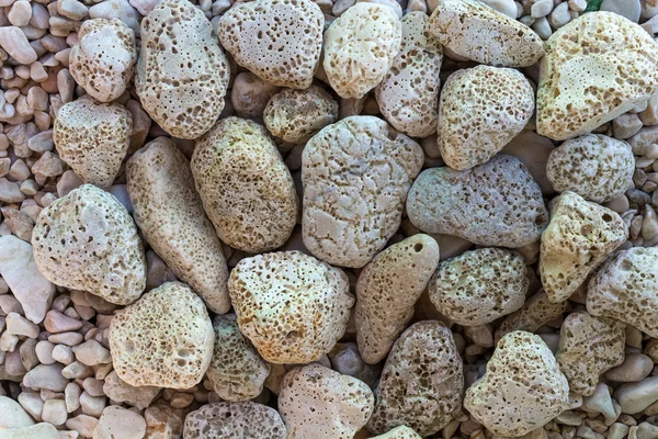 Holey stones on a beach — Stock Photo, Image
