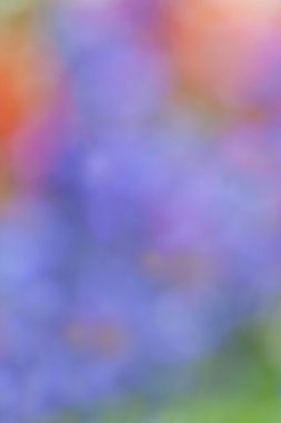 Renkli soyut arkaplan