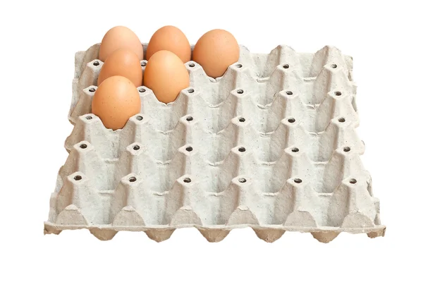 Ovos no painel de papel — Fotografia de Stock