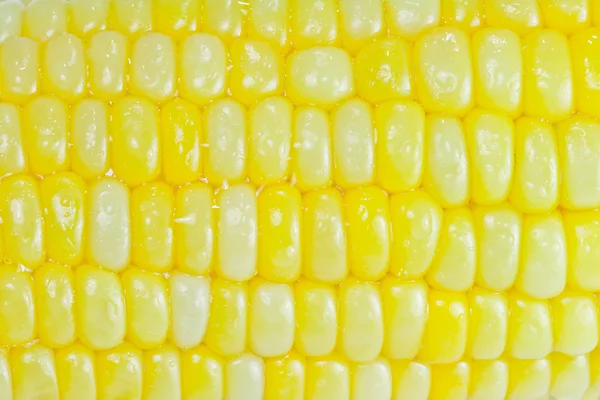 Corn — Stock Photo, Image