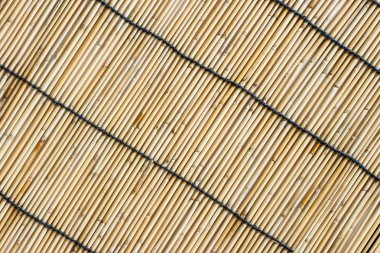 Bambu kör