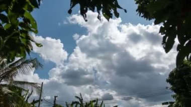 Büyük beyaz bulutlar mavi gökyüzünde hareket ediyor ve yuvarlanıyor. Önplanda yaprak silueti var. 4k hızlandırılmış görüntü.