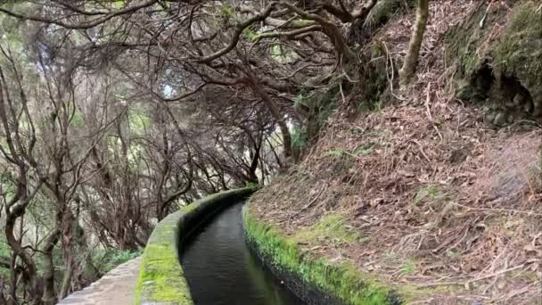 Detail Des Levada Kanals Bei Levada Das Fontes Insel Madeira — Stockvideo
