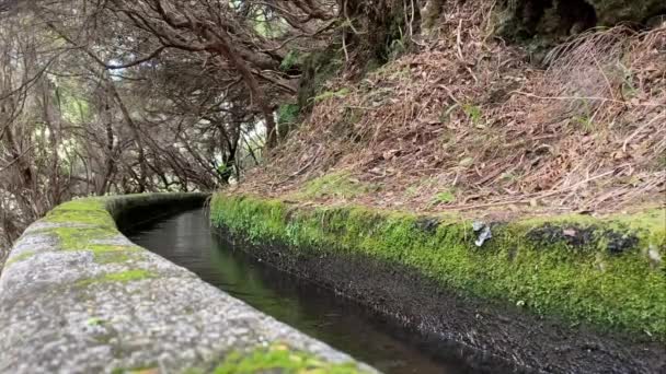 Szczegóły Dotyczące Kanału Levada Das Fontes Trail Madera Island Portugalia — Wideo stockowe