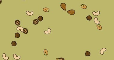 Ceviz, fındık, şam fıstığı, fındık ve badem, haki yeşili arka plana düşer. Çizgi film animasyonu. 4K çözünürlüğü.